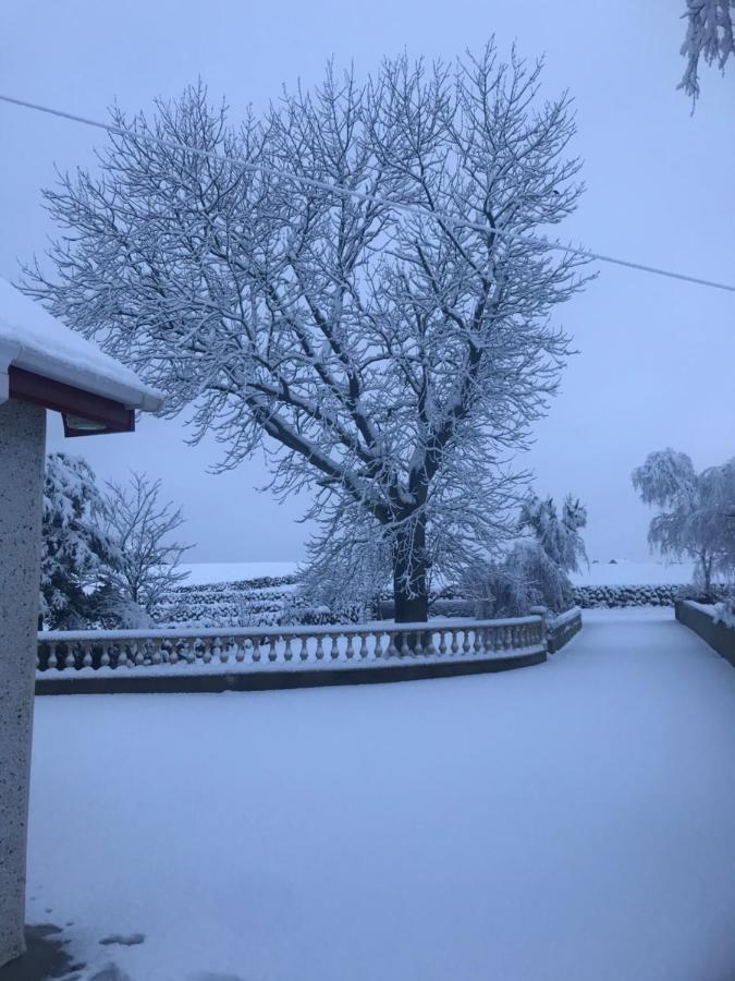 Lovely 2-Bed Cottage At The Foot Of The Mournes نيوري المظهر الخارجي الصورة