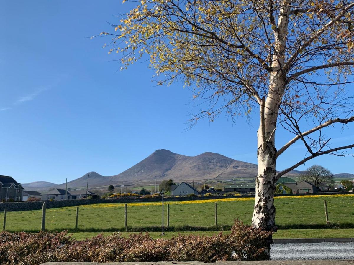 Lovely 2-Bed Cottage At The Foot Of The Mournes نيوري المظهر الخارجي الصورة
