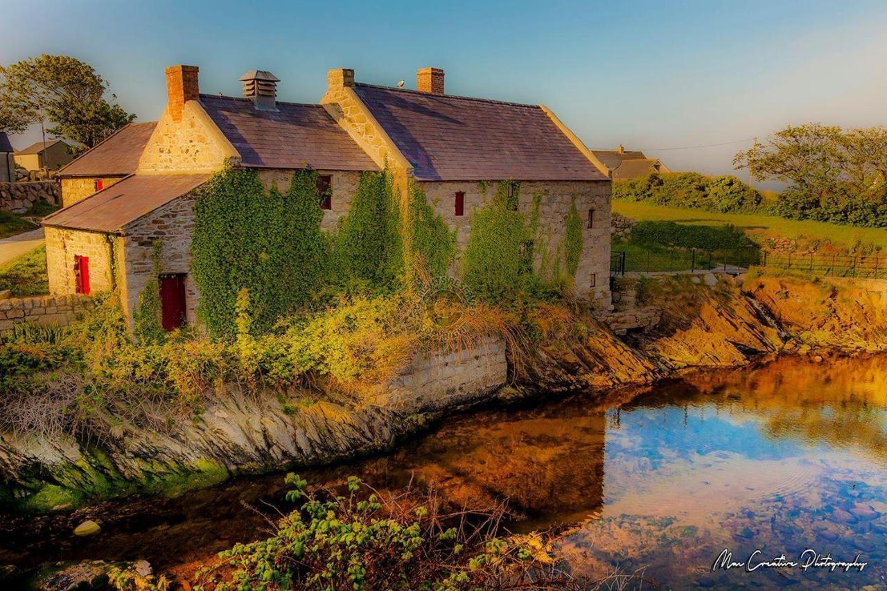 Lovely 2-Bed Cottage At The Foot Of The Mournes نيوري المظهر الخارجي الصورة