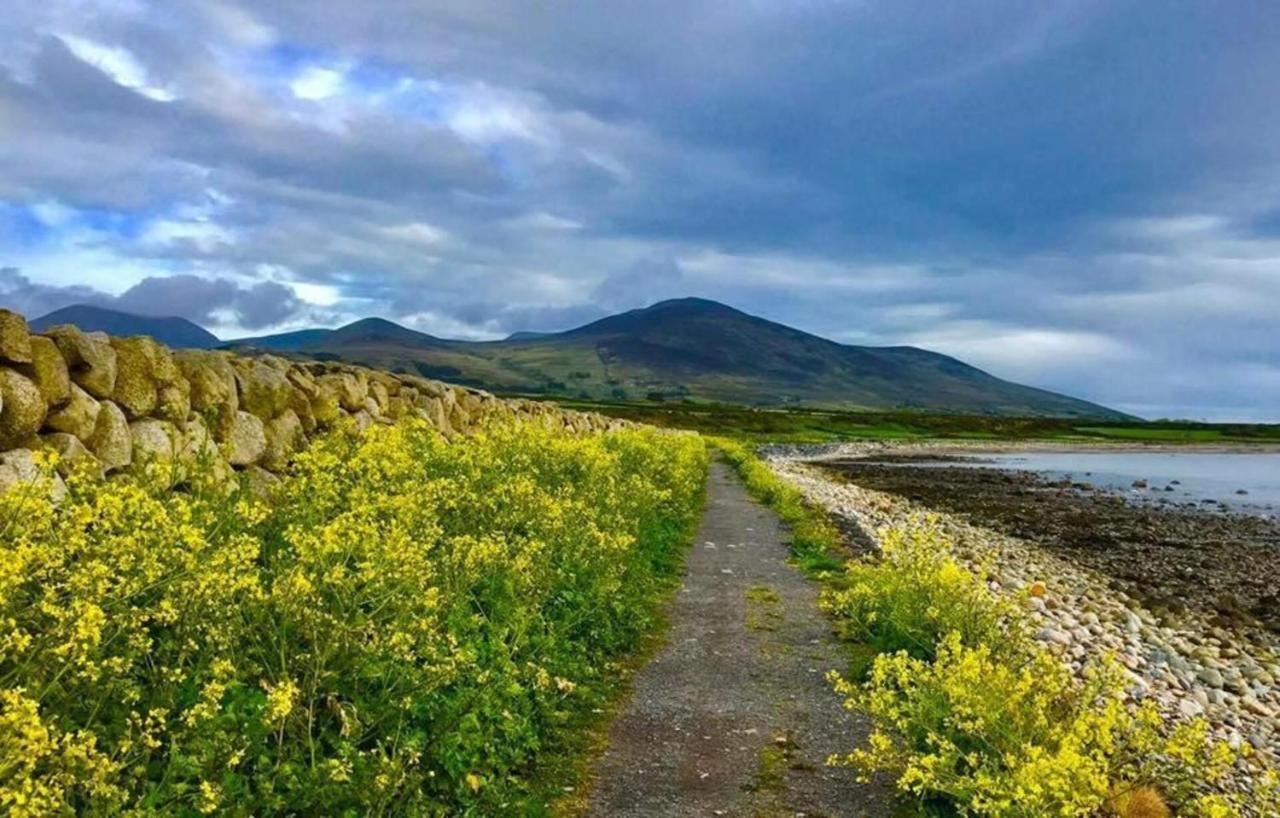 Lovely 2-Bed Cottage At The Foot Of The Mournes نيوري المظهر الخارجي الصورة